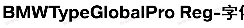BMWTypeGlobalPro Reg字体转换 BMWTypeGlobalPro Reg字体转换